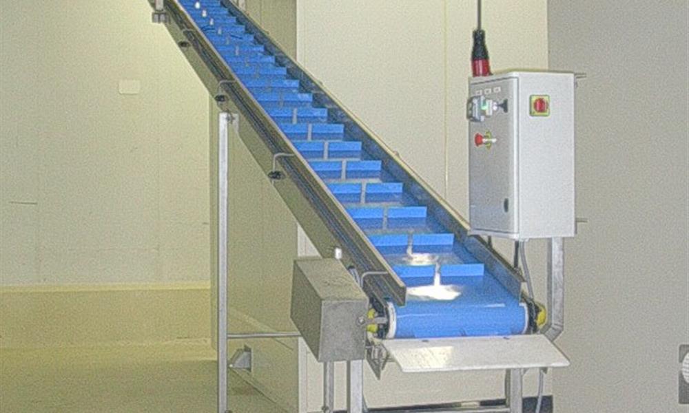  Convoyeur alimentaire sur mesure - 