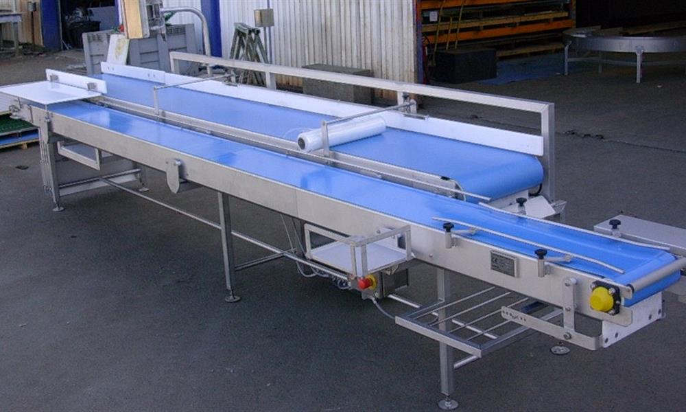  Convoyeur alimentaire sur mesure - 