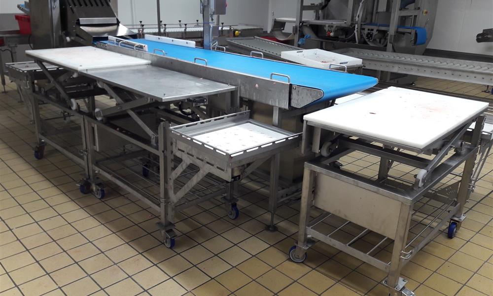 Convoyeur alimentaire sur mesure - 